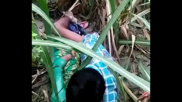 desi indian college couple outdoor sex in village public place xxx hd porn