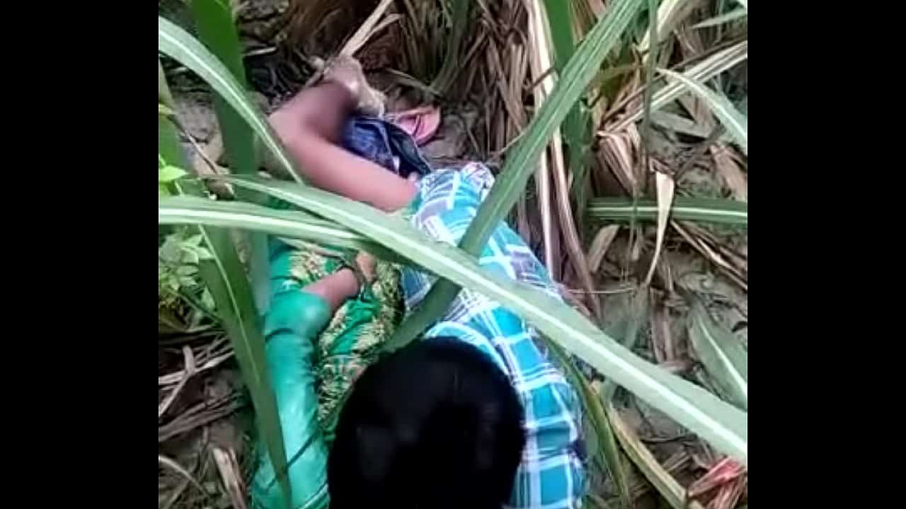 desi indian college couple outdoor sex in village public place xxx hd porn