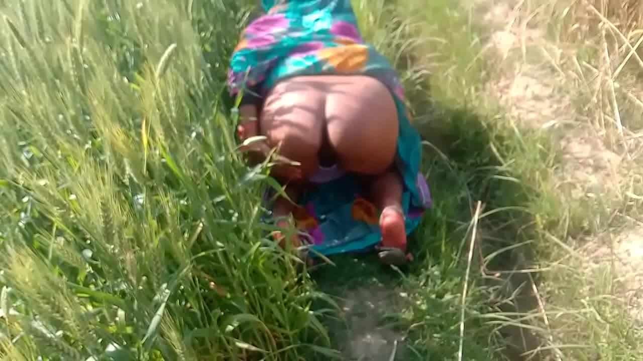 Khet Chut Vediyo Rajwep Com - khet me chut ki chudai - Indian Porn 365